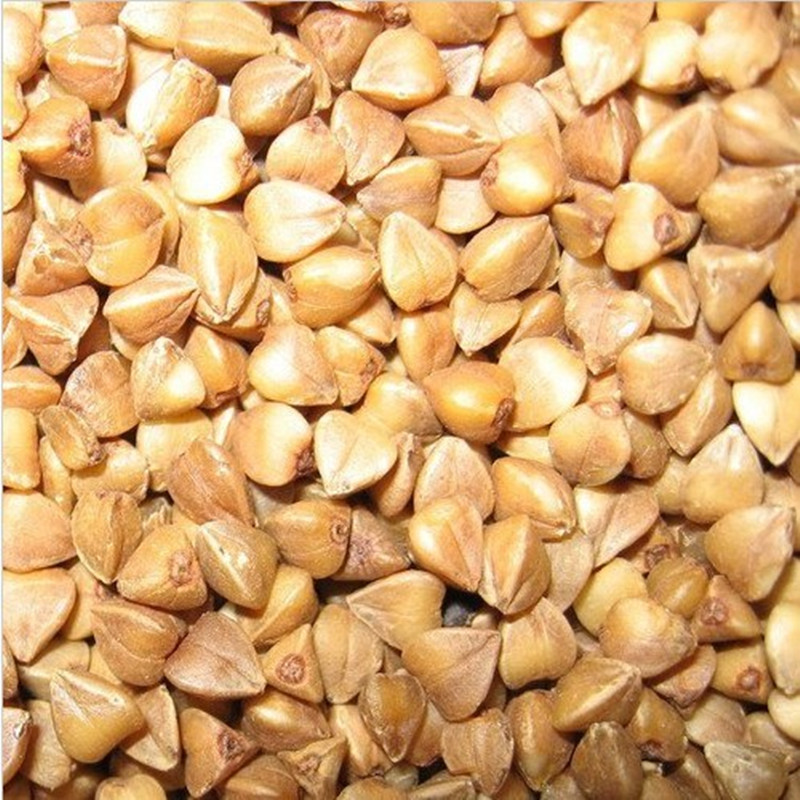 Roasted buckwheat kernels