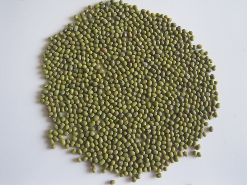 GREEN MUNG BEANS