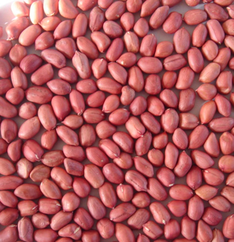 Red Skin Peanut