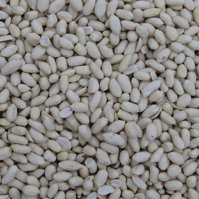 blanched peanut kernels Long Shape